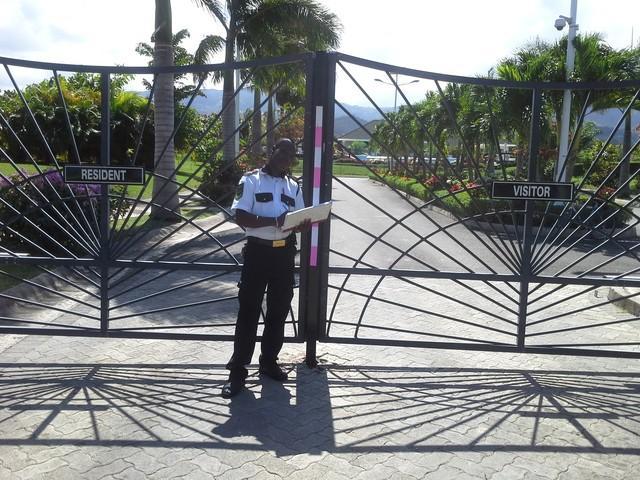 Villa Ocho Rios Under The Palms Extérieur photo