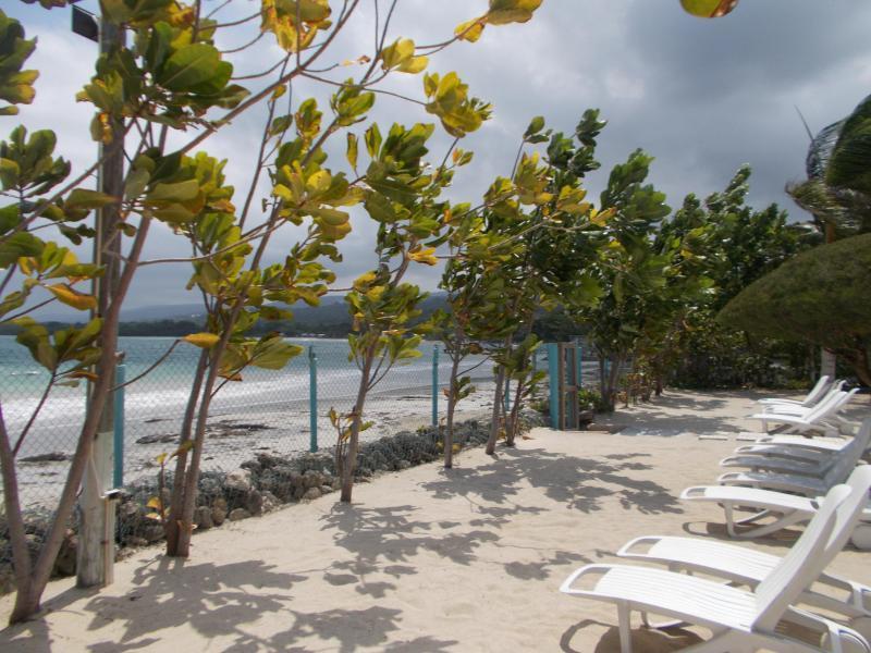 Villa Ocho Rios Under The Palms Extérieur photo